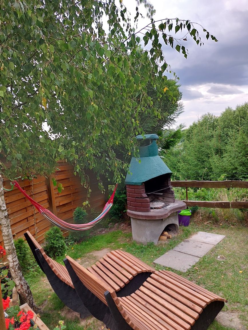 Zielony domek nad jeziorem