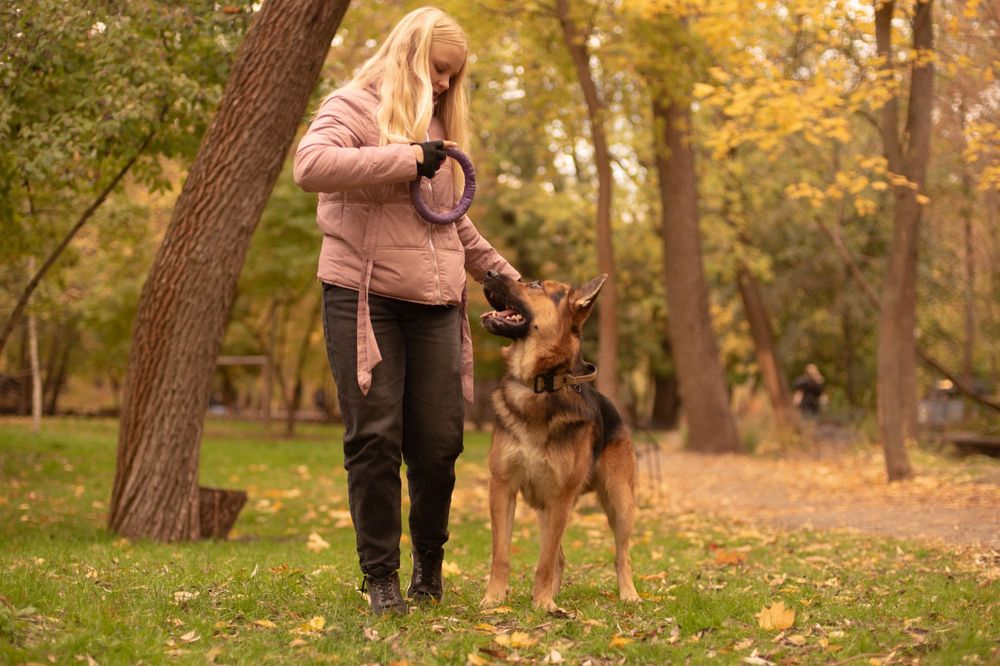 Выгул собак Индустриальный