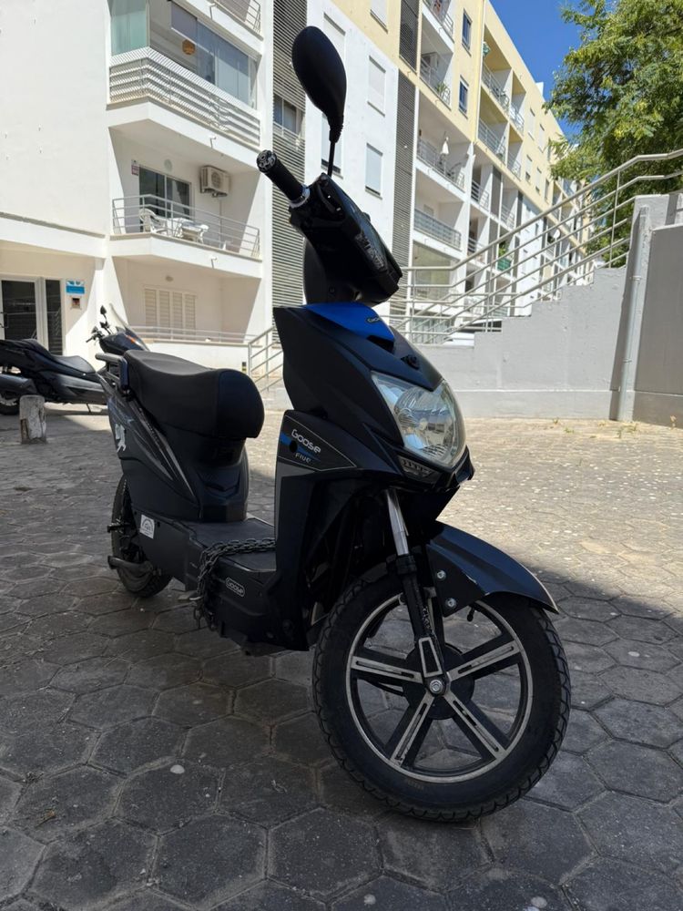 Moto eletrica goose