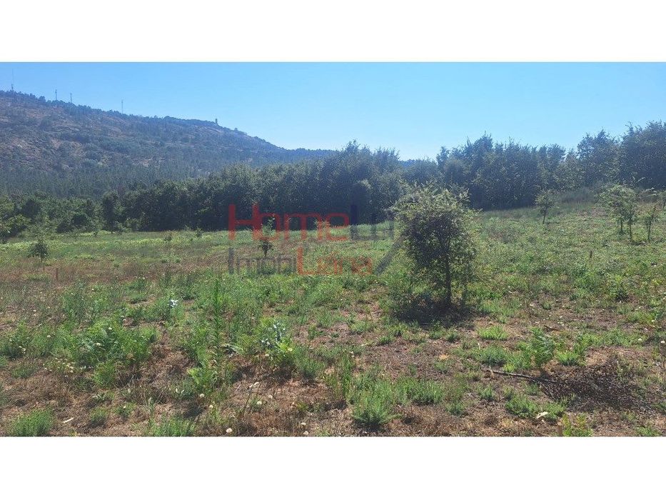 Terreno na Região de Gavião