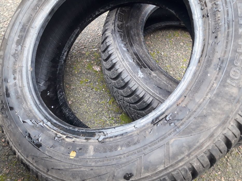 Зима R-14*175*65 Falken EuroWinter HS01 6+mm