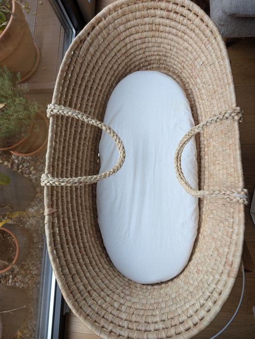 Kosz Mojżesza pleciony