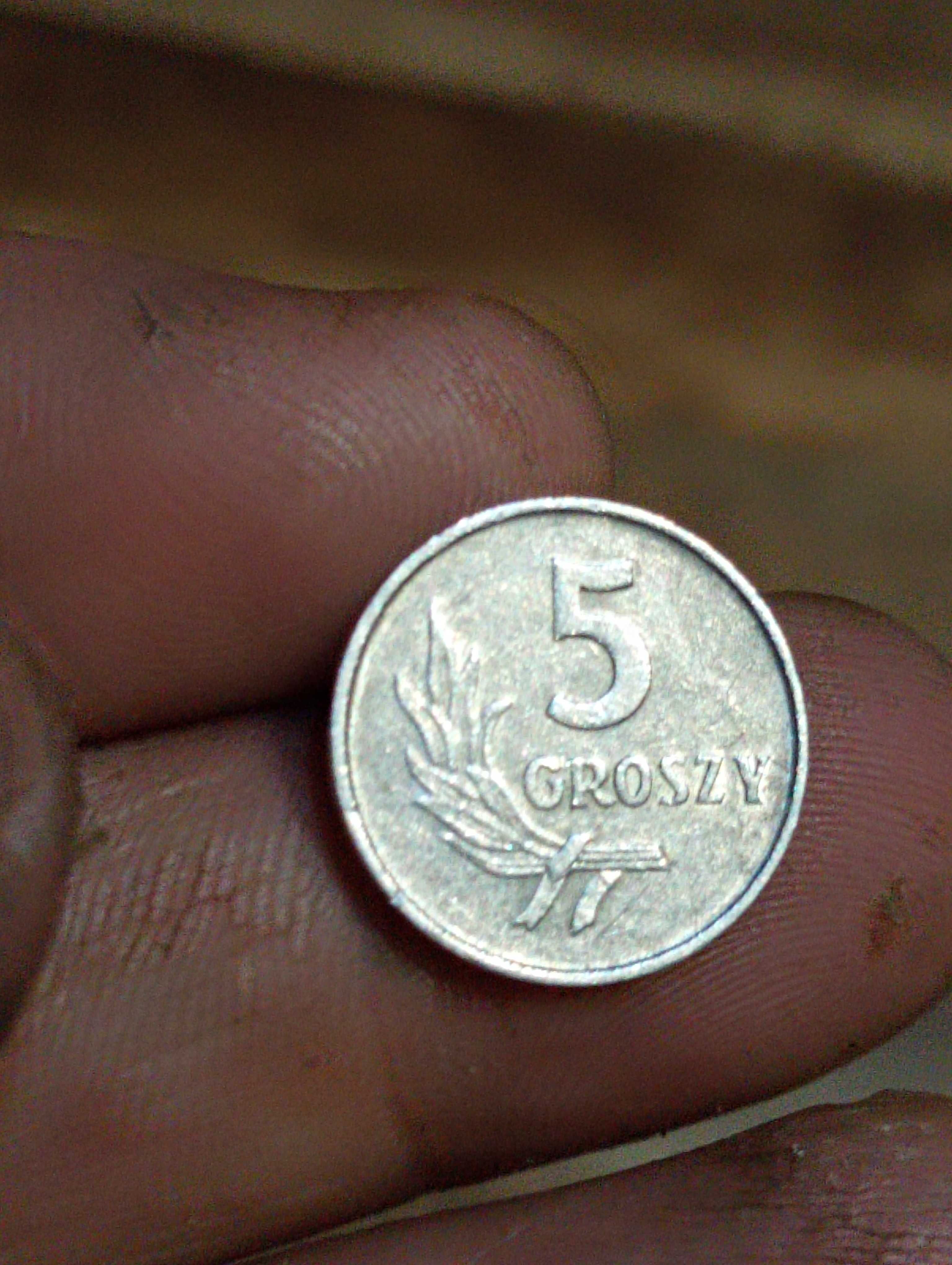 Moneta druga 5 groszy 1971 r