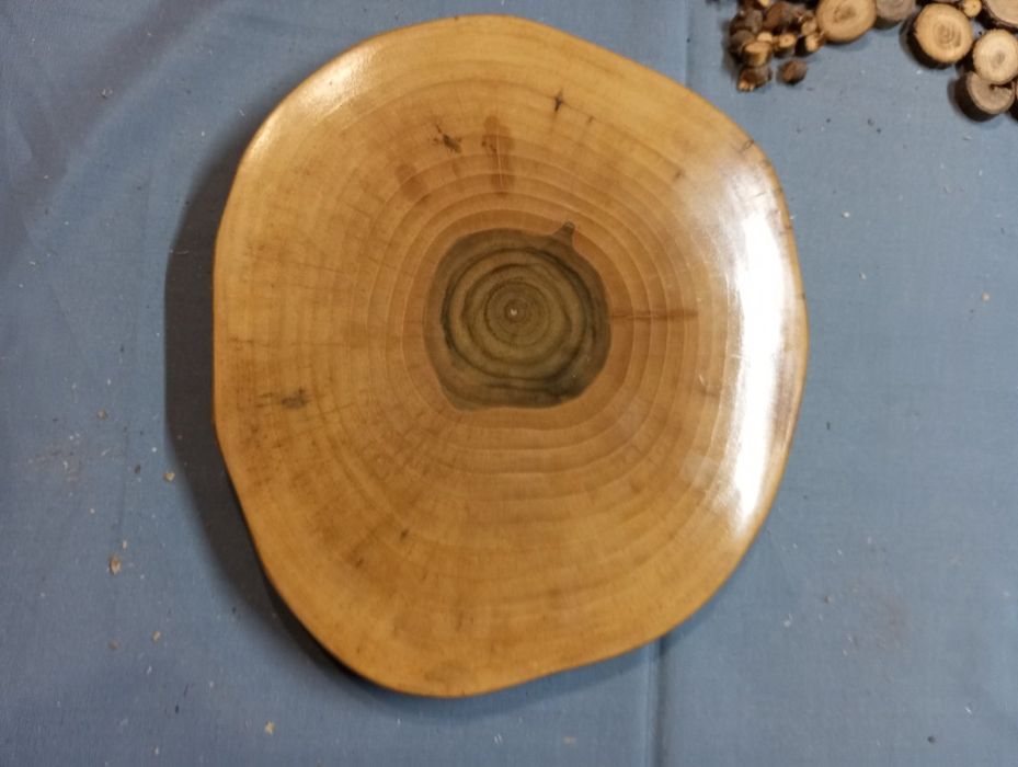 Срізи деревини з різних порід.