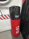Saco everlast impecavel