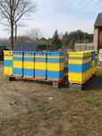 Ul , ule wielkopolskie 10 ramek, styrodur 700kpa.
