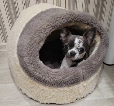 Теплий хутряний будиночок хатинка лежанка для собачки котика 2 розміри