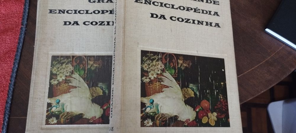 Grande enciclopédia da cozinha maria de Lurdes modesto