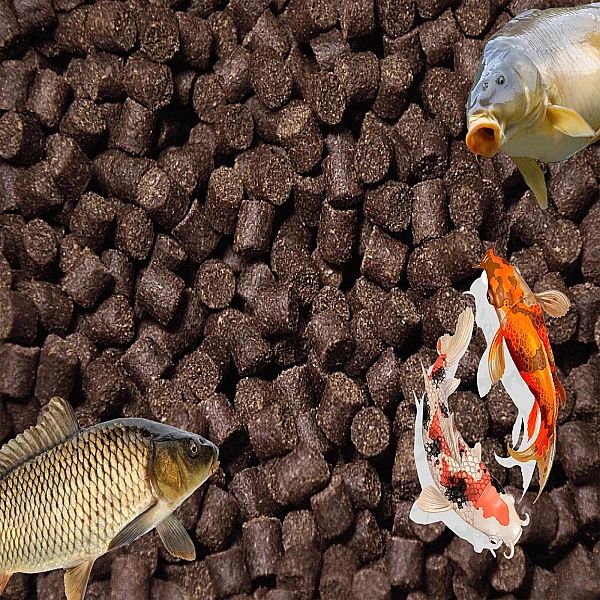 20kg 6mm Aller Bona Float pływająca karma pokarm jesiotr oczko worek