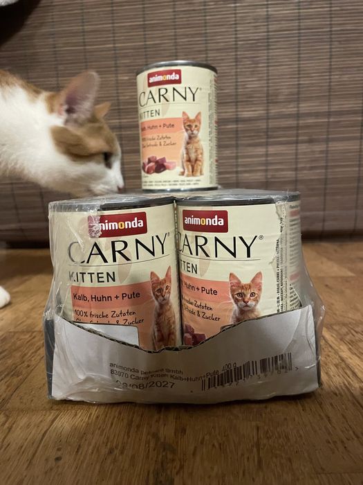 Animoda kitten 400g x 12 puszek mokra karma dla kotow pasztet pate