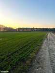 Działki budowlane Zakrzewice/Gogolewo