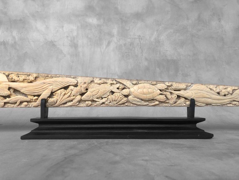 lança de espadarte(Xiphias Gladius ) .(95 cm x 10 x 5cm)