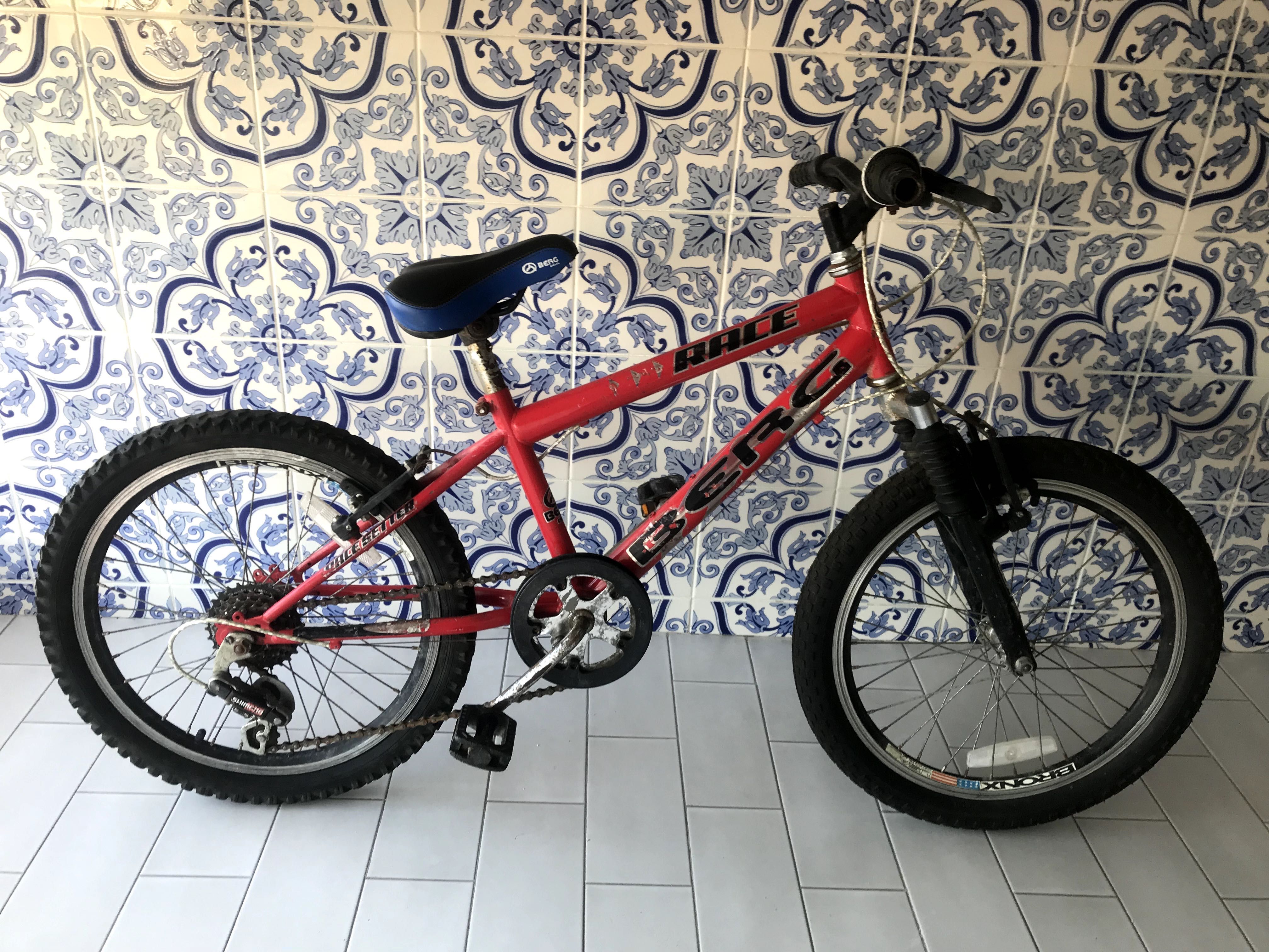 Bicicleta BERG *USADO*