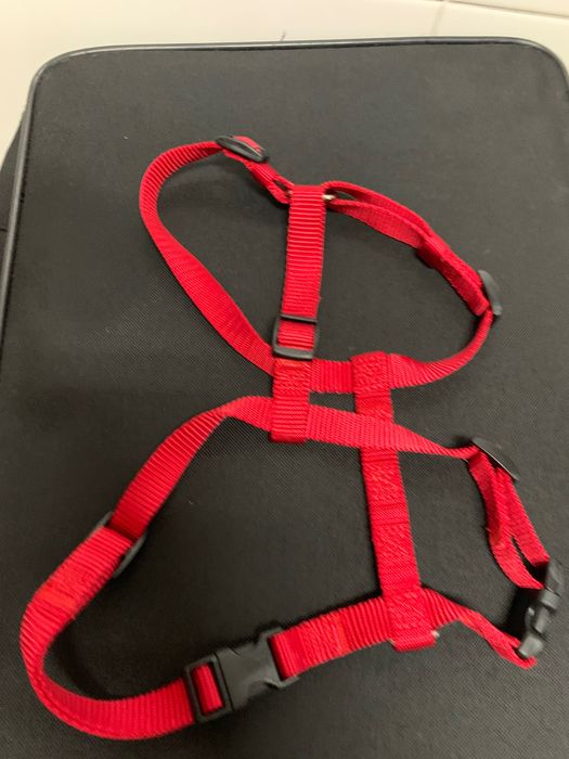 Arnês/peitoral para cão de pequeno corpo