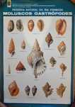 Posters da Reserva Natural da Ria Formosa