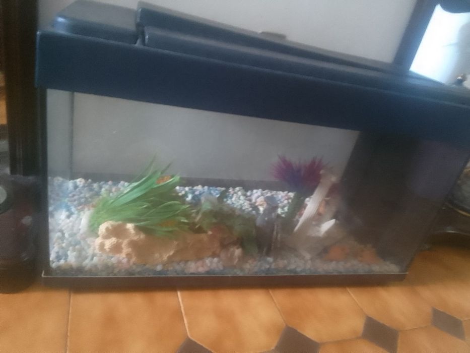 Vendo aquário como novo