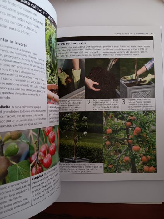 Vegetais e Frutos em Vasos, Dorling Kindersley