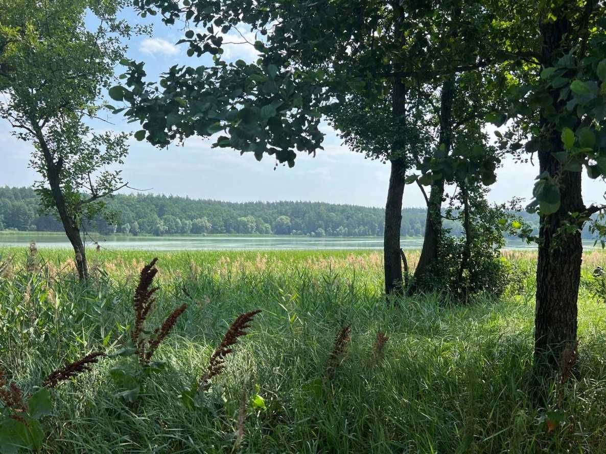Продаж ділянки 3,11га (ОСГ). Поруч каскад озер.Фастівський р-н. ID:446
