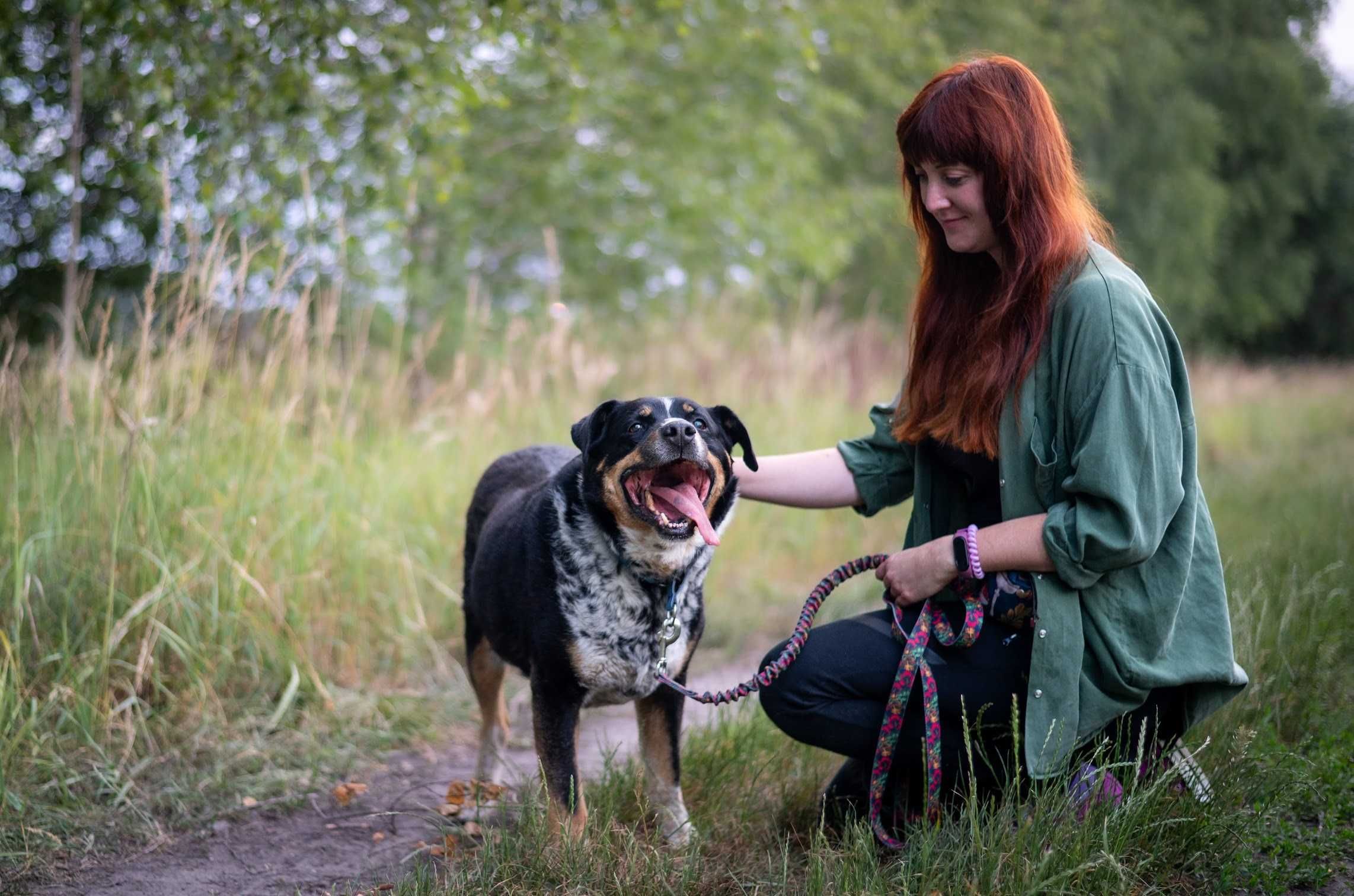 Piękny BARON w typie rottweilera czeka na kochającą rodzinę!