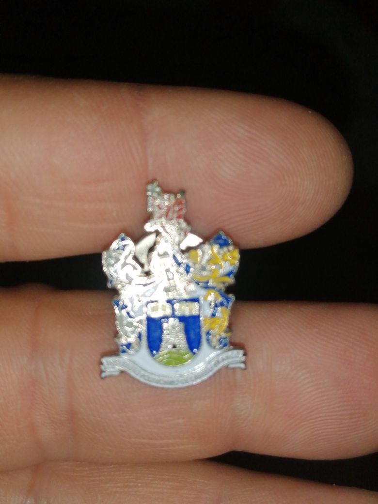 Pin do Instituto Politécnico de Castelo Branco