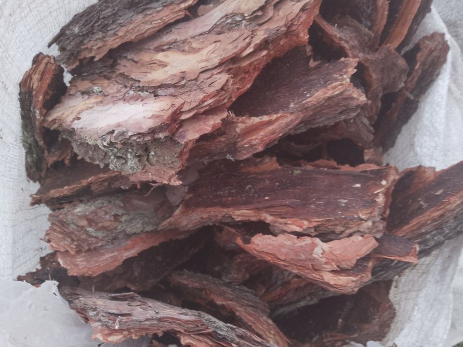 Продам соснову кору