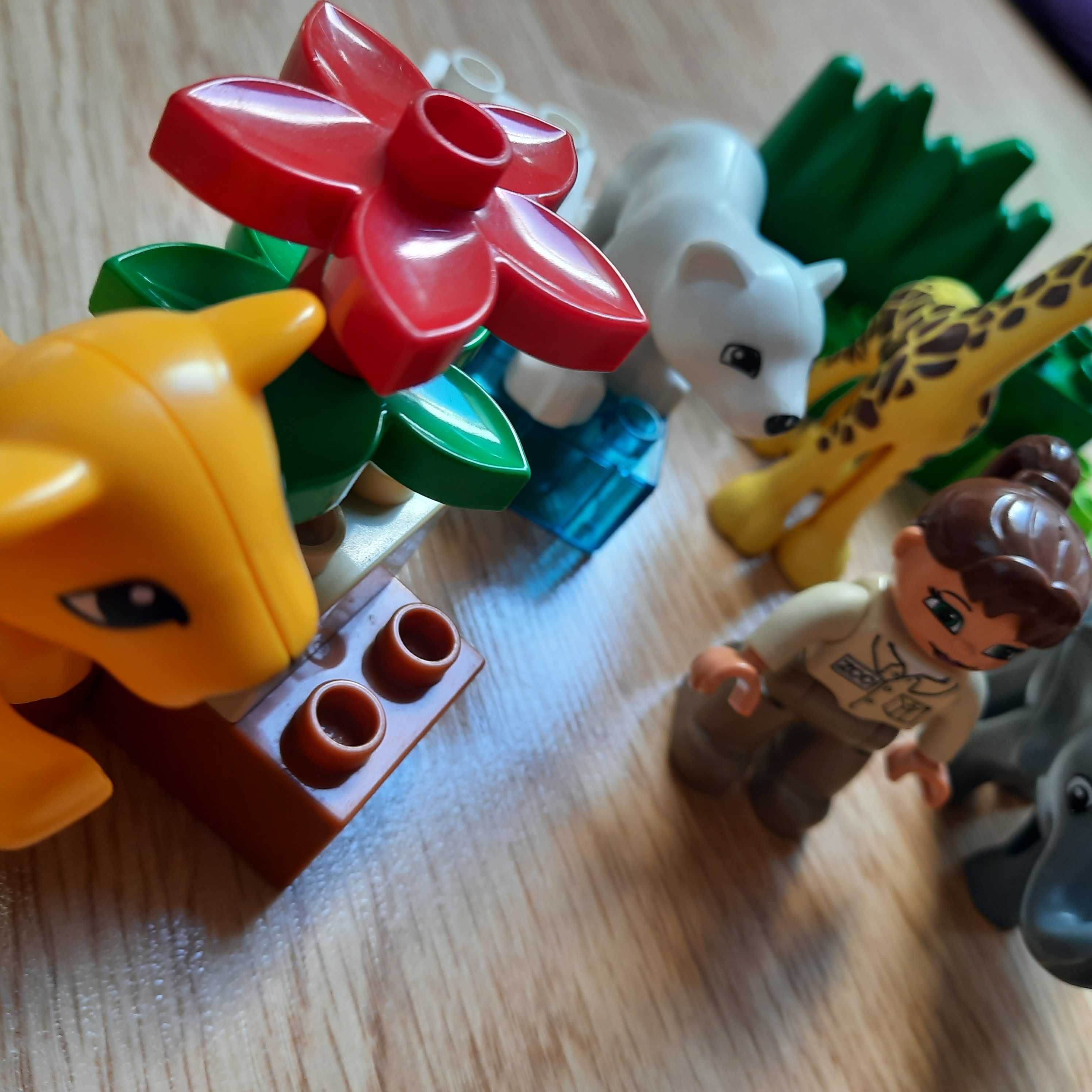 Zestaw Lego DUPLO Male zoo