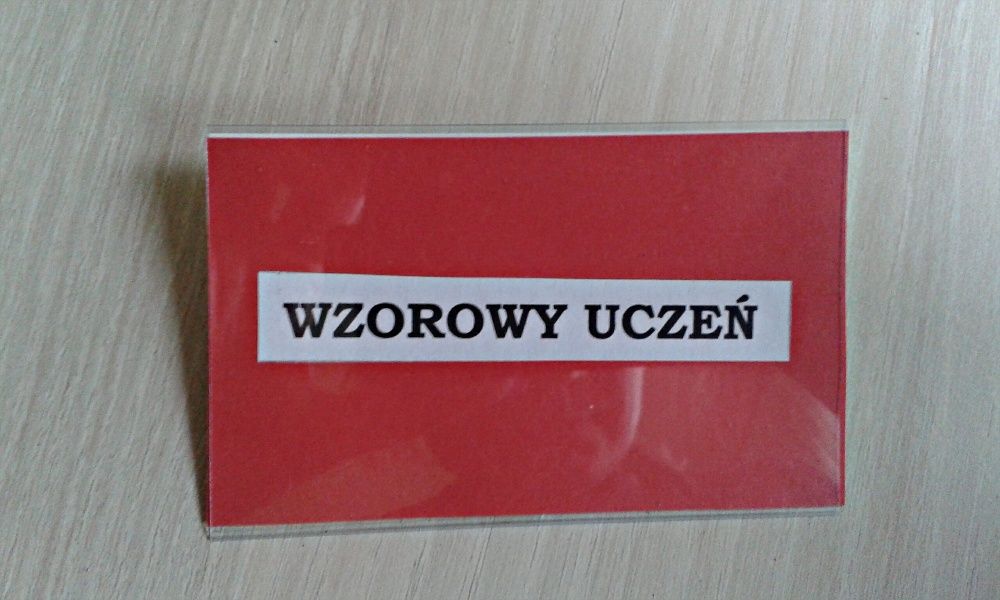 WZOROWY UCZEŃ - zestaw plastikowych identyfikatorów