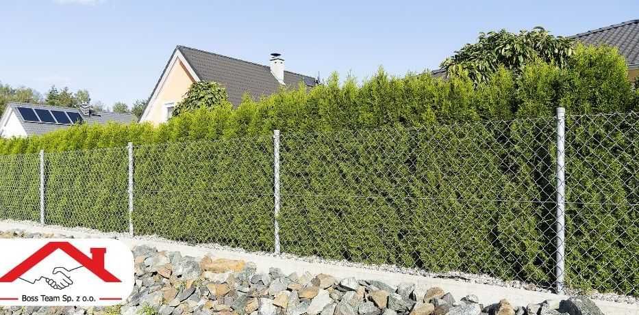 Ogrodzenie płot siatka powlekana