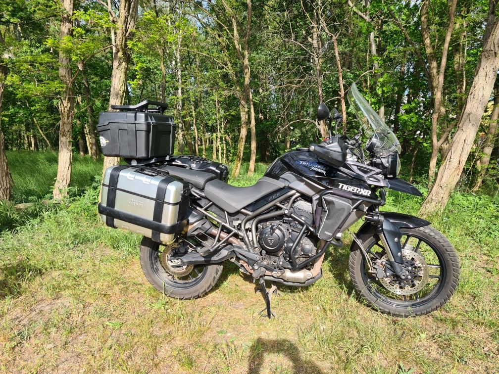 Motocykl Triumph Tiger 2015r