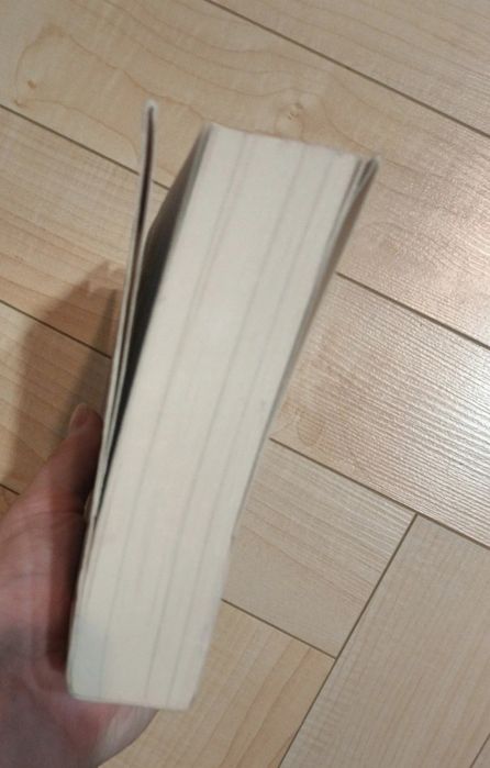 ,,Nasz ostatni dzień" Adam Silvera