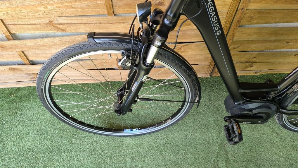 Elektryk Pegasus Siena, Bosch Active Line, Nexus, Amory, I INNE !