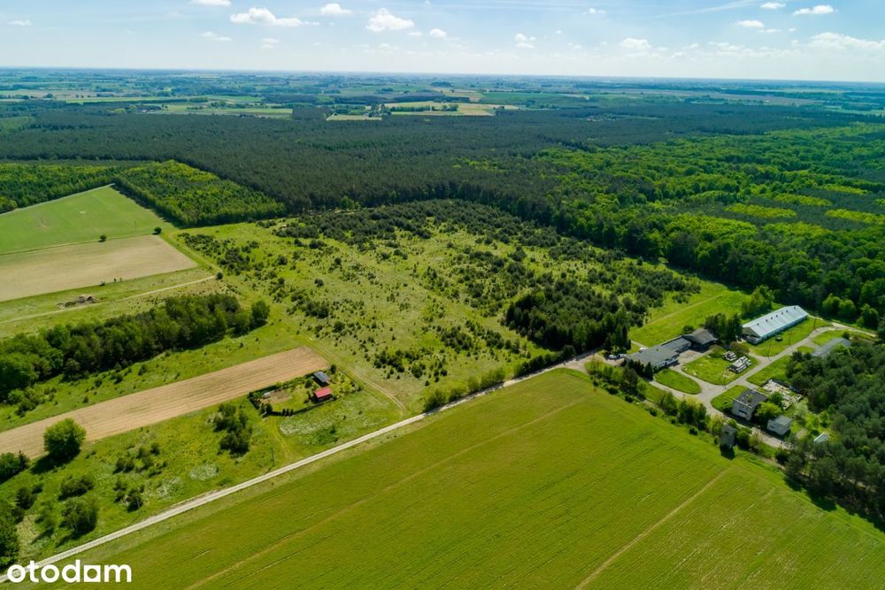 Zamieszkaj w naturze! 29 działek od 1735 do 4027 m