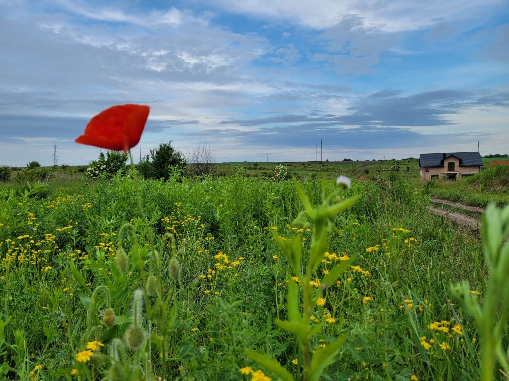 Продаж ділянки під житлову забудову в с. Біла 17 соток