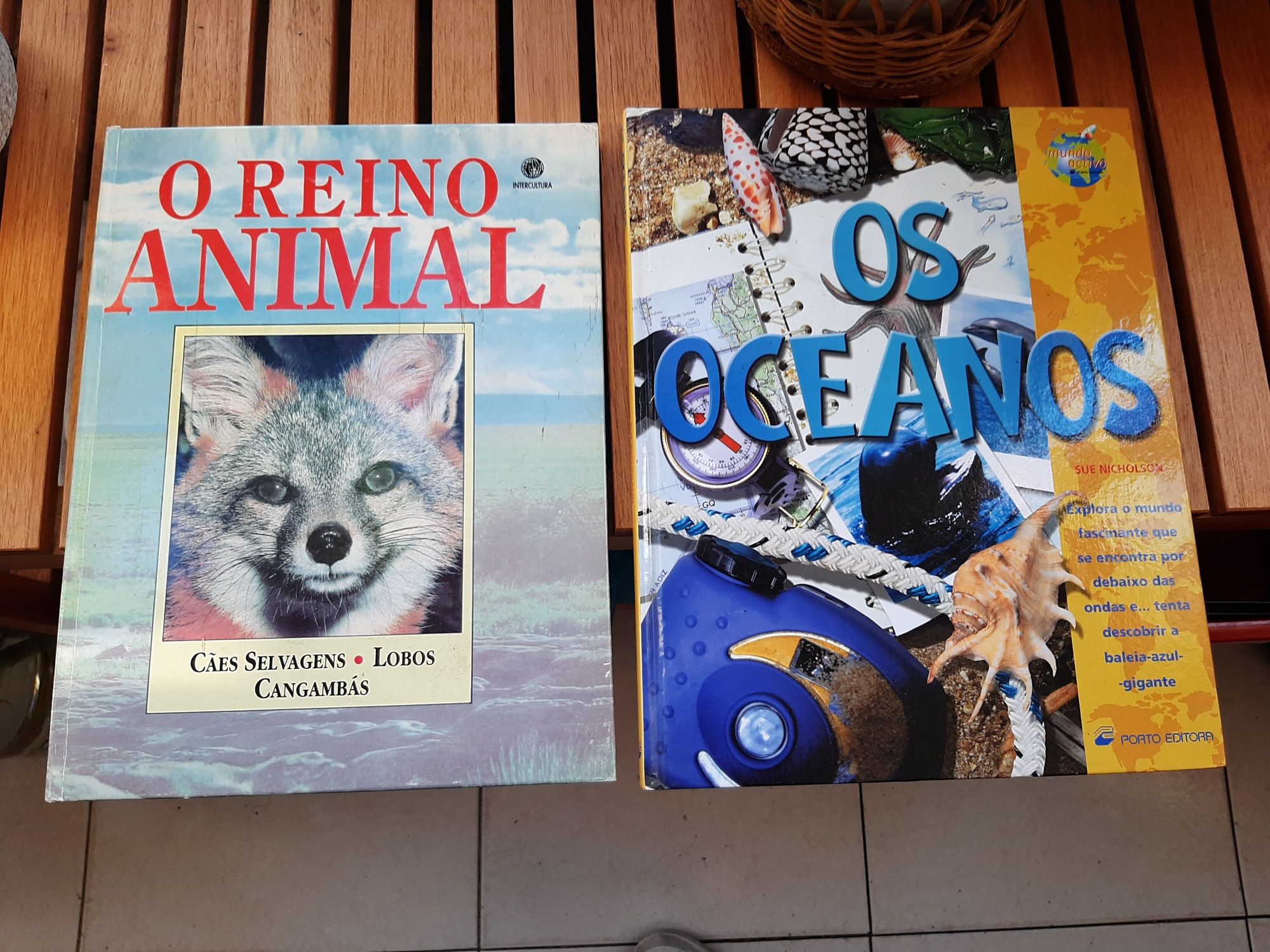 Livros educativo reino animal e oceanos