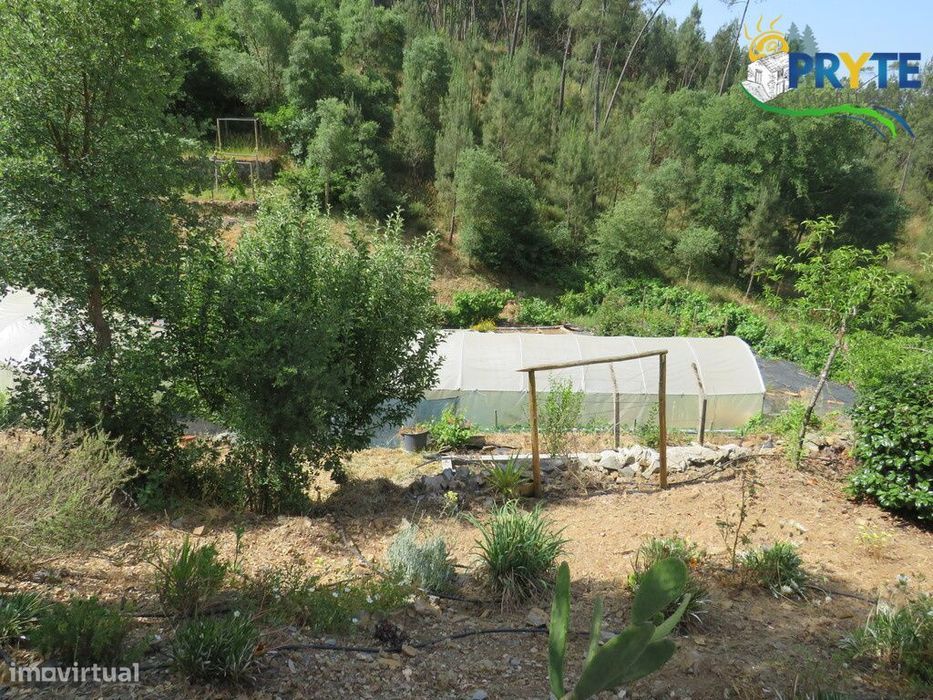 Quinta com grande potencial situada em Cernache do Bonjardim