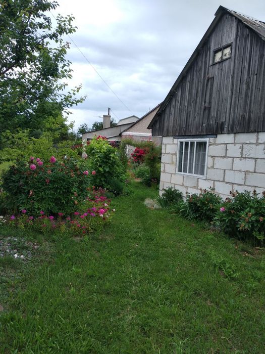 Продам будинок 1/2 в центрі містечка