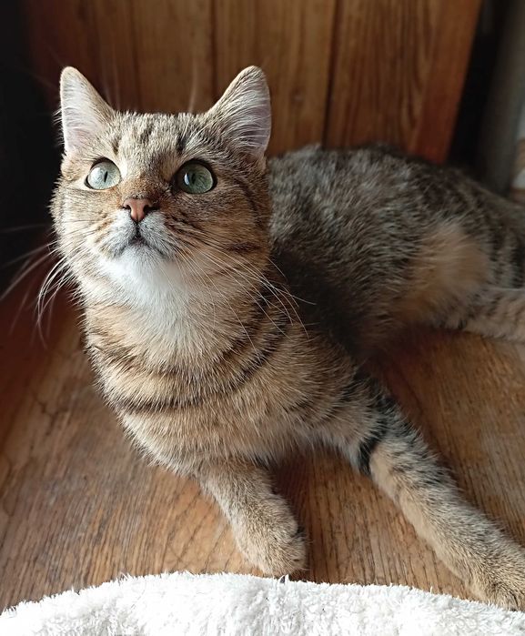 Agatek szuka Człowieka na zawsze - pomożesz :) ?