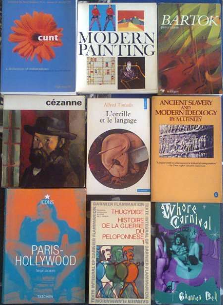76 livros: Burroughs/ Miller/ Breytenbach/ J. Rulfo/Matthiessen/Borges