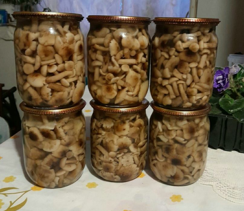 Опеньки мариновані