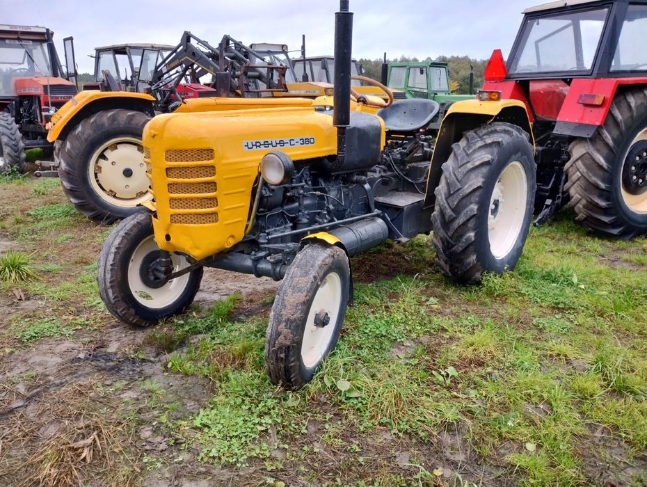 Sprzedam Ursus 4011. Trasport