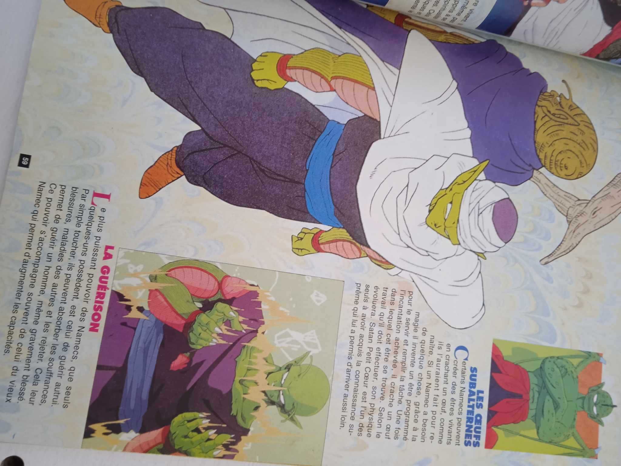 Revista Dorothee Edição Especial Dragon Ball Z