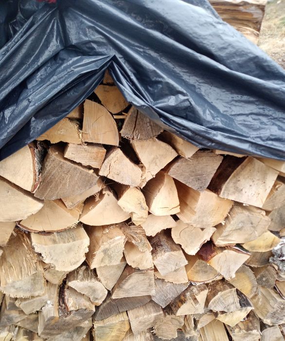 Suche drewno kominkowe brzoza