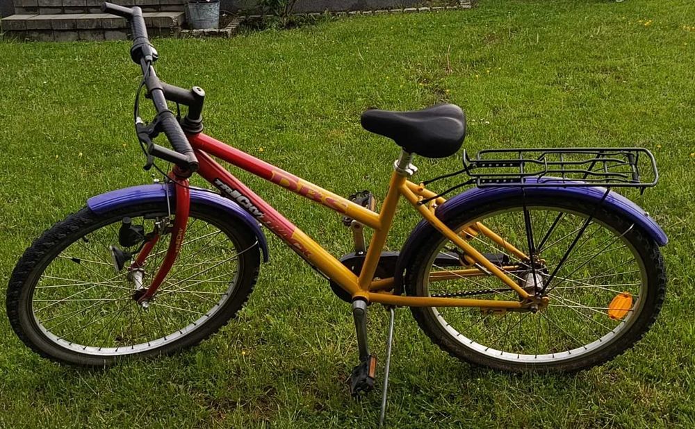 Rower DBS 40cm dla dziecka