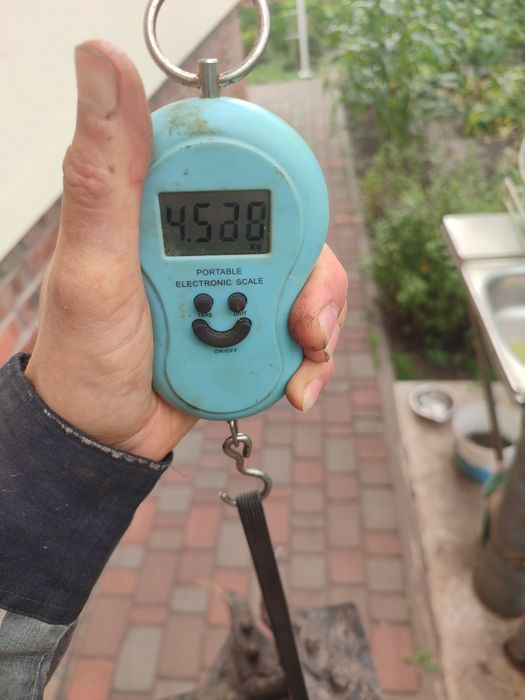 Фреза до культиватора не комлект діаметр 26см