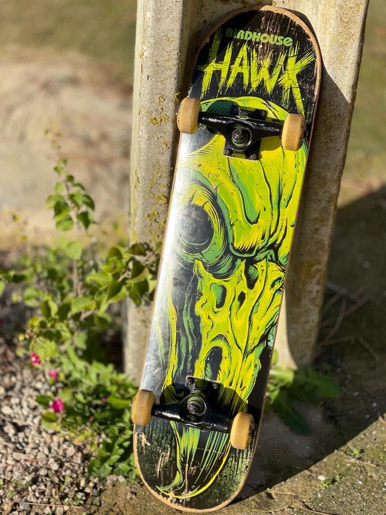 Skate Birdhouse Hawk