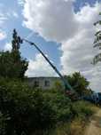 Обрезка и спил деревьев с вывозом веток.Все аккуратно.