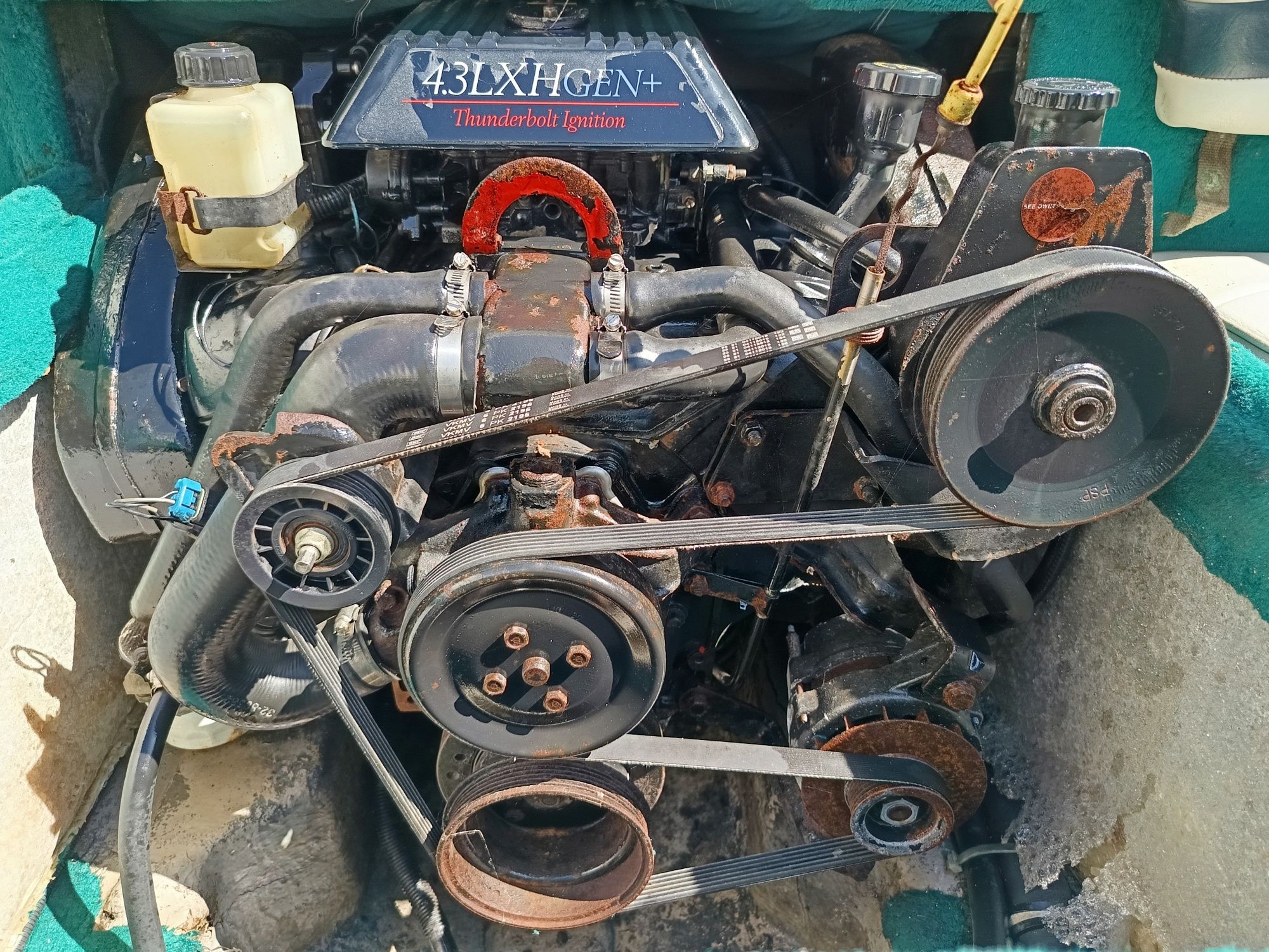 Barco campiom allant 615