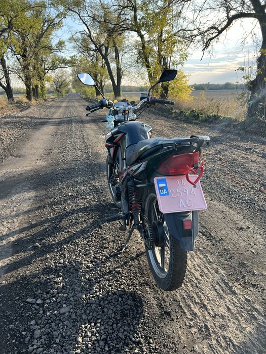 Musstang fortuna 200