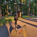 Segway Ninebot g30p 37км/год