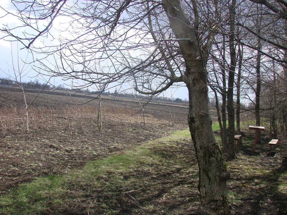 земділянка 0,18 Га., для ОСГ